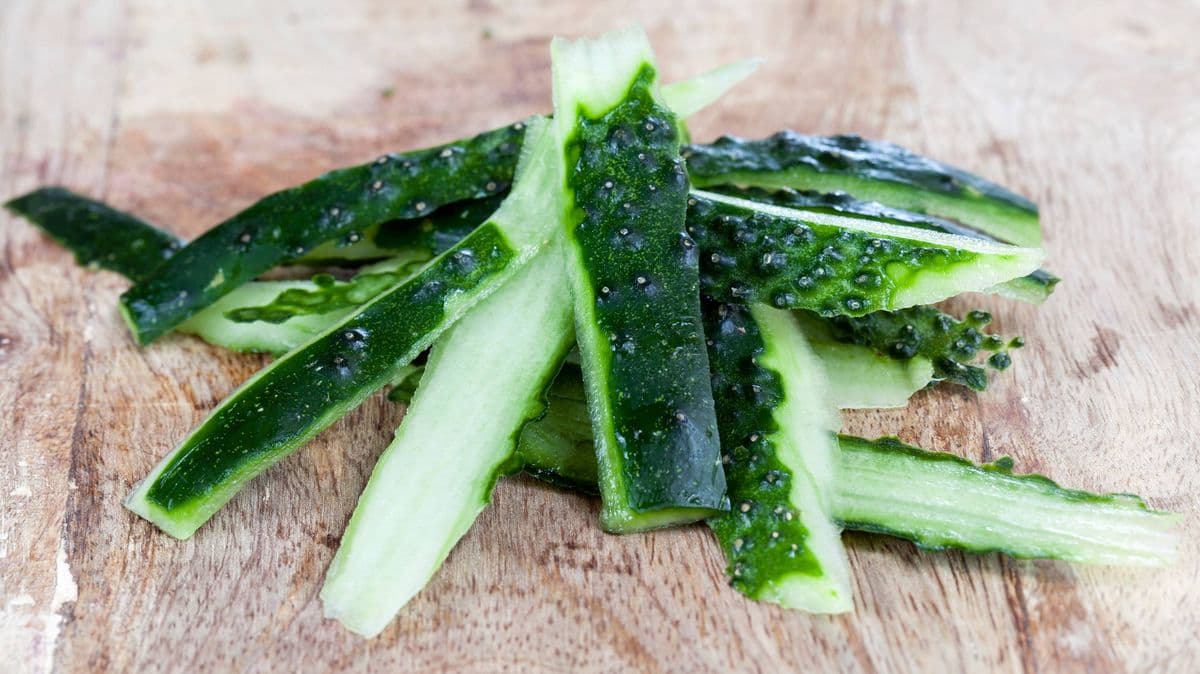 Don't Throw Away Cucumber Peels, Use Them in Your Garden