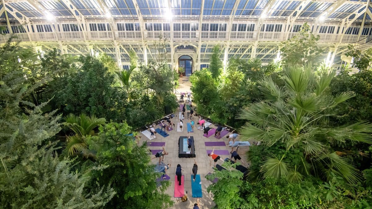 Yoga in Kew Gardens' 'cathedral of plants'