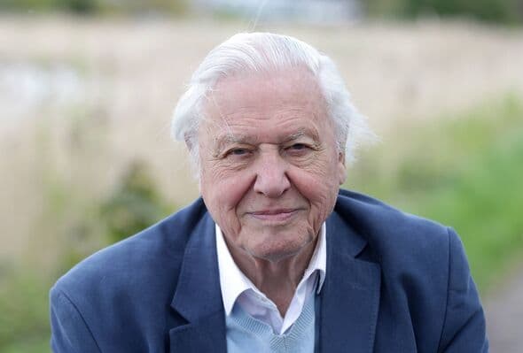 Prince Harry Honors Sir David Attenborough on His 100th Birthday