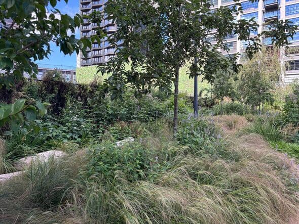 Discover a Hidden Gem in London