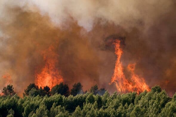 Wildfires in Europe: UK Updates Travel Advice for France
