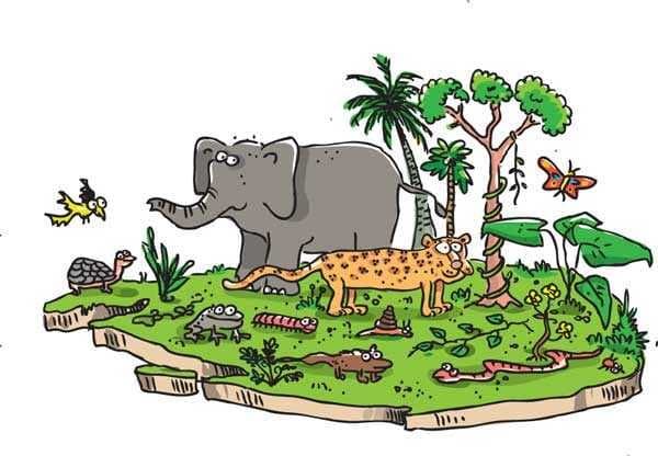Endangered species