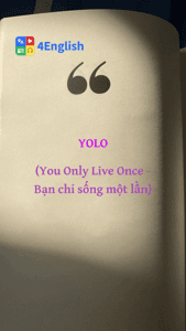 YOLO (You Only Live Once - Bạn chỉ sống một lần)