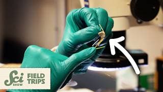 Is the Secret to Treating Schizophrenia in... Engineering?