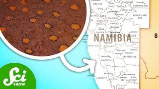 50 Years Later & Scientists Still Don't Know Why These Exist