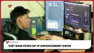 Việt Nam steps up IP enforcement drive | Vietnam Today