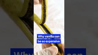 What could stabilize the global vanilla market after years of price volatility? #Uganda #soexpensive