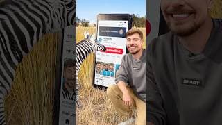 Will a Zebra Subscribe to me?
