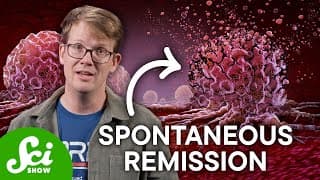 Why Do Some Cancers Cure Themselves?