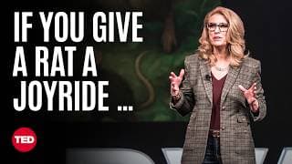 I Taught Rats to Drive. They Taught Me to Enjoy the Ride | Kelly Lambert | TED