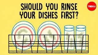 What’s happening inside a dishwasher? - Rachel Yang