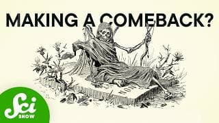 The Bubonic Plague Is Older Than You Think