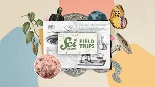 Field Trips Season 2 Trailer