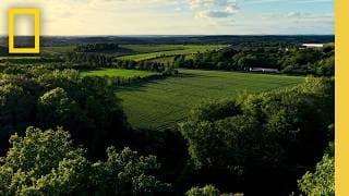 What is Regenerative Agriculture? | National Geographic
