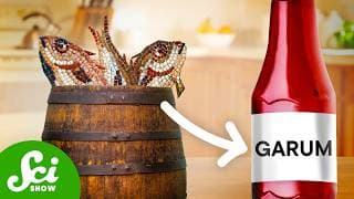 The Stinky Fish Sauce Ancient Romans Couldn’t Live Without