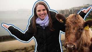 How this English county is preparing for life after Brexit | CNBC Reports