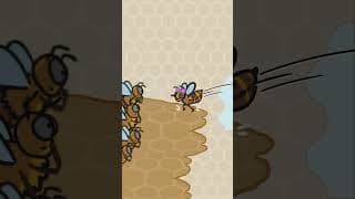 Why do bees dance?