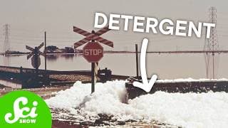 How Laundry Detergent Caused an Environmental Disaster