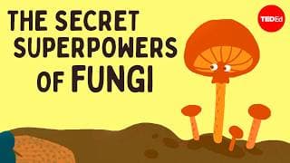 Psychedelics, mind control, radiation-eating: The secret superpowers of fungi - Max G. Levy