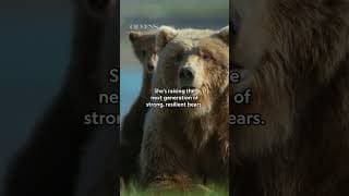 Shoutout to all Mama Bears everywhere 🫶 #Queens