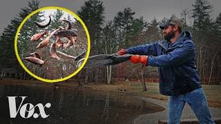 America's fishing paradox