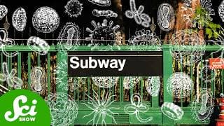 What's Really Living in the Subway