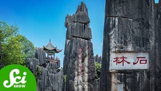 What China's Stone Forest Teaches Us About Cities