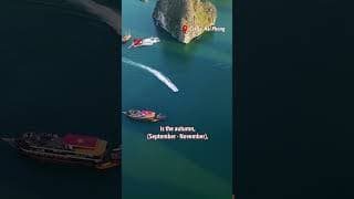 Lan Ha Bay: A hidden beach paradise | Vietnam Today