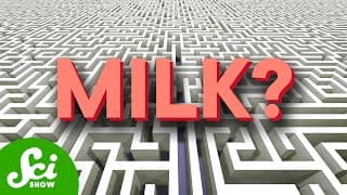 5 Things That Shouldn't Be Able to Solve a Maze