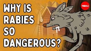 Why is getting bitten by a rabid animal so dangerous? - Charles Rupprecht