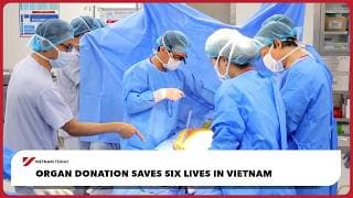 Organ donation saves six lives in Vietnam | Vietnam Today