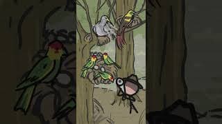 The most valuable cargo that sank with the Titanic 🪶