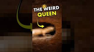 This HAS to be the weirdest mammal on Earth… right?!
