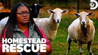 Louisiana Homestead Faces Scorching Weather Conditions | Homestead Rescue | Discovery