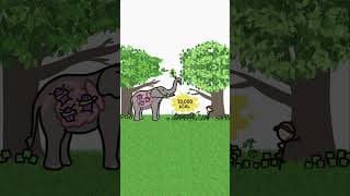 Why are the biggest animals herbivores?
