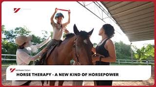 Horse therapy - a new kind of horsepower  | Vietnam Today