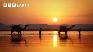 An EPIC Journey Through The Ganges | BBC Earth