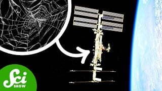 5 Weird Things We Figured Out On the ISS