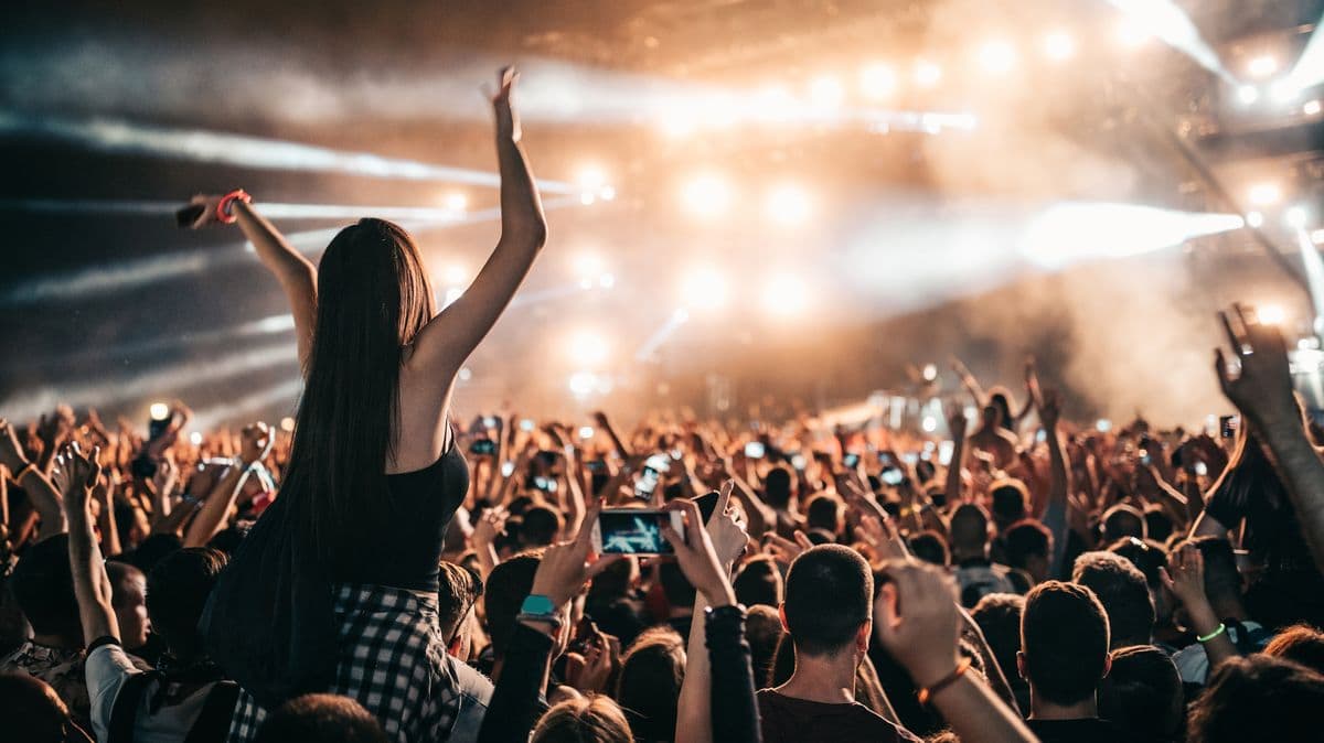 Ban on reselling gig tickets above face value 'must be introduced without delay'