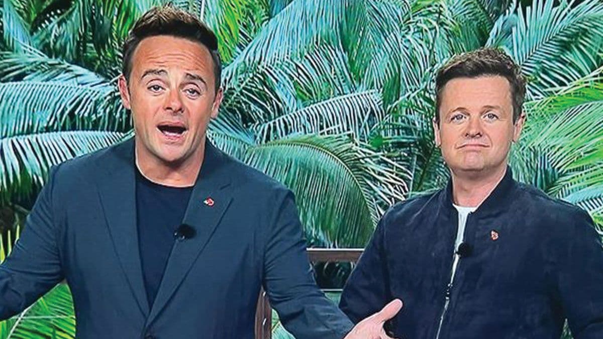 I'm A Celeb's Dec Donnelly Talks About Adam Thomas Argument
