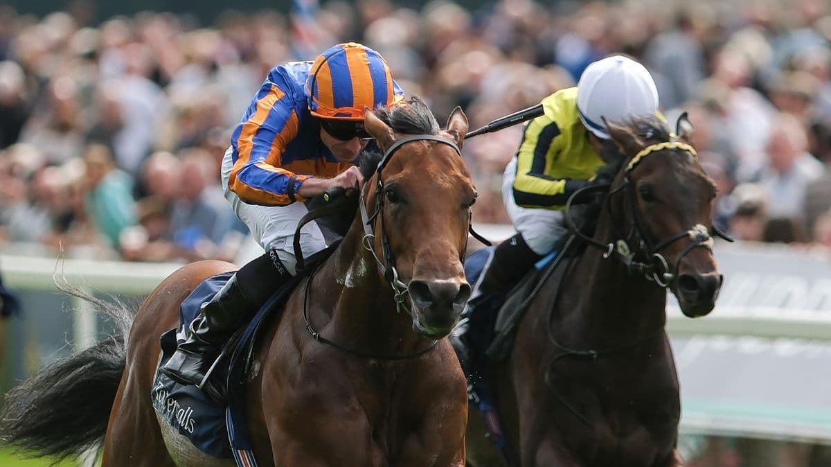 Aidan O'Brien Loses Royal Ascot Hope After Horse Injury