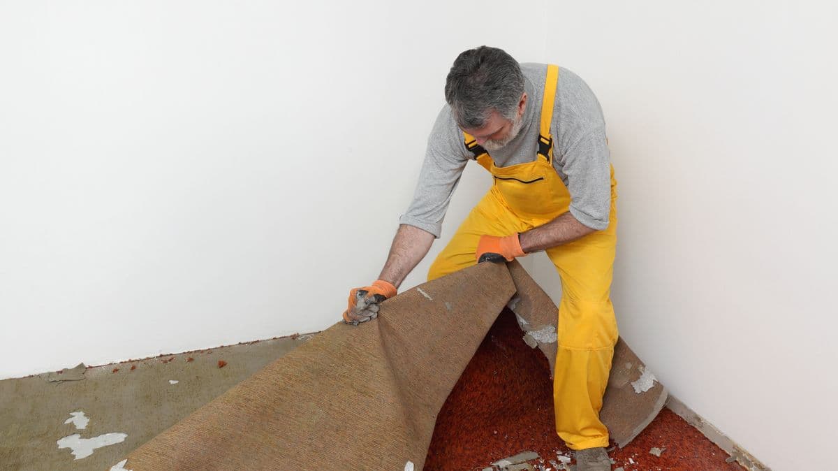 Homeowner's Exciting Discovery Under Old Carpet