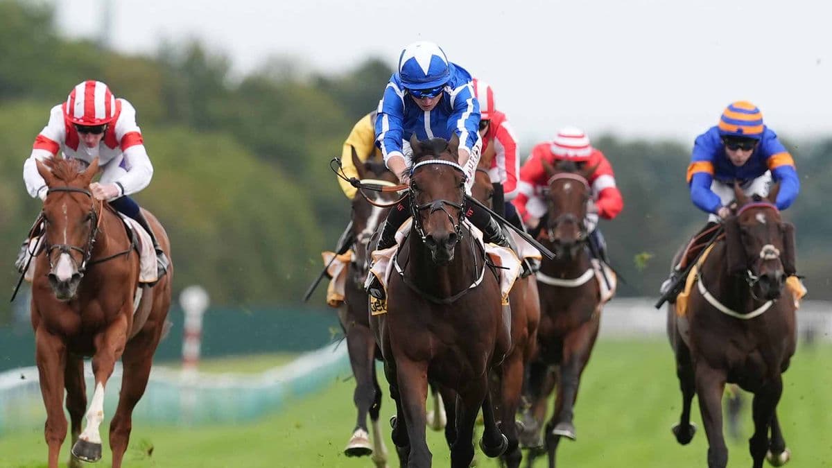 Newsboy's Horse Racing Tips for Saturday