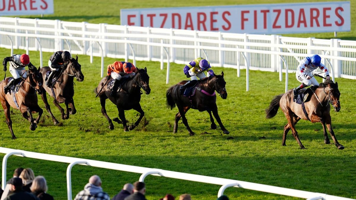 Horse Racing Picks for Monday