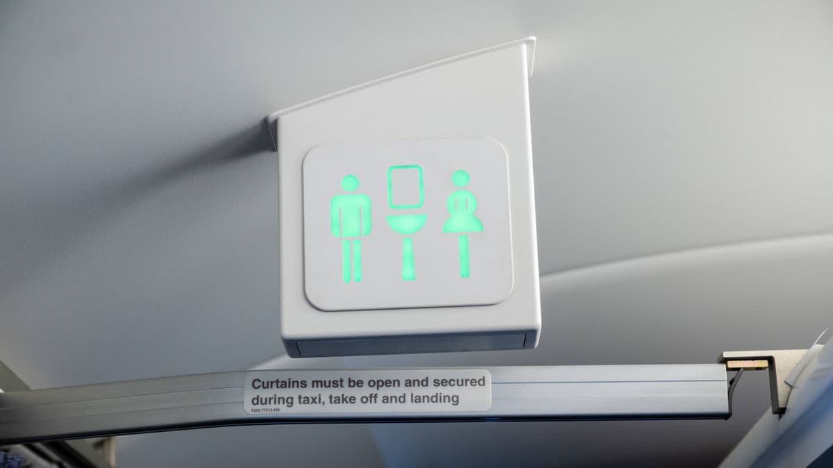 Flight Attendant Shares Disgusting Thing People Do in Plane Bathrooms