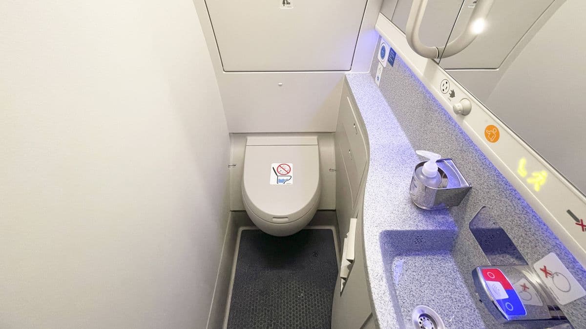 Woman finds 'secret compartment' in plane toilet and contents are brilliant