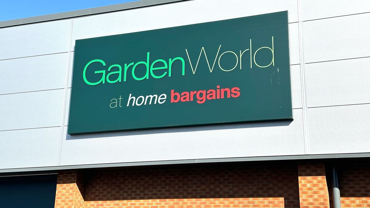 Home Bargains' £6 planter makes gardening easy