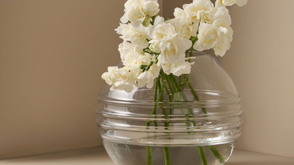M&S and Kelly Hoppen's £15 vase that looks expensive