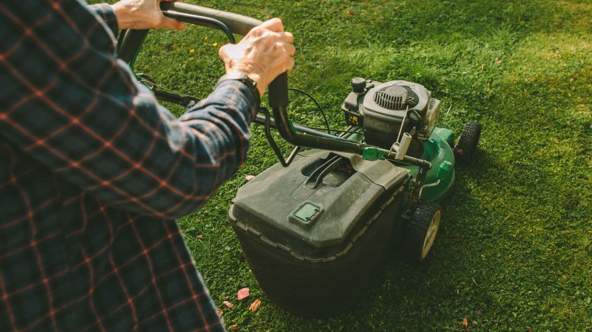 Gardening Expert Warns Against Common Lawn Mowing Mistake