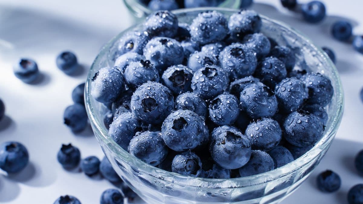 Blueberries stay fresh for 8 weeks with a simple wash